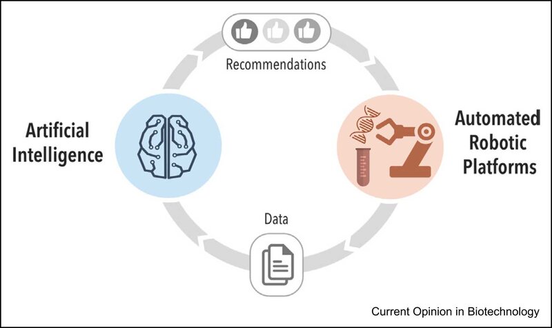 Perspectives for self-driving labs in synthetic biology — figure